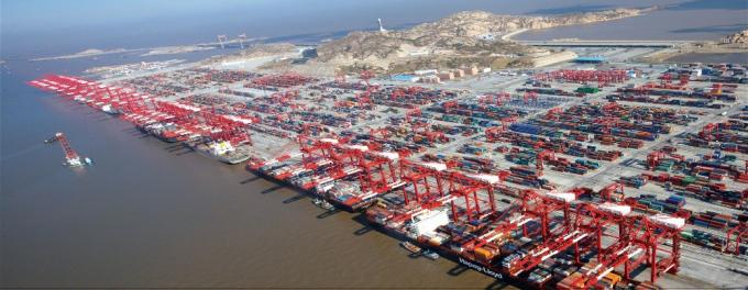 فرشاة مكنسة كهربائية قابلة للاستبدال تدعم OEM 13